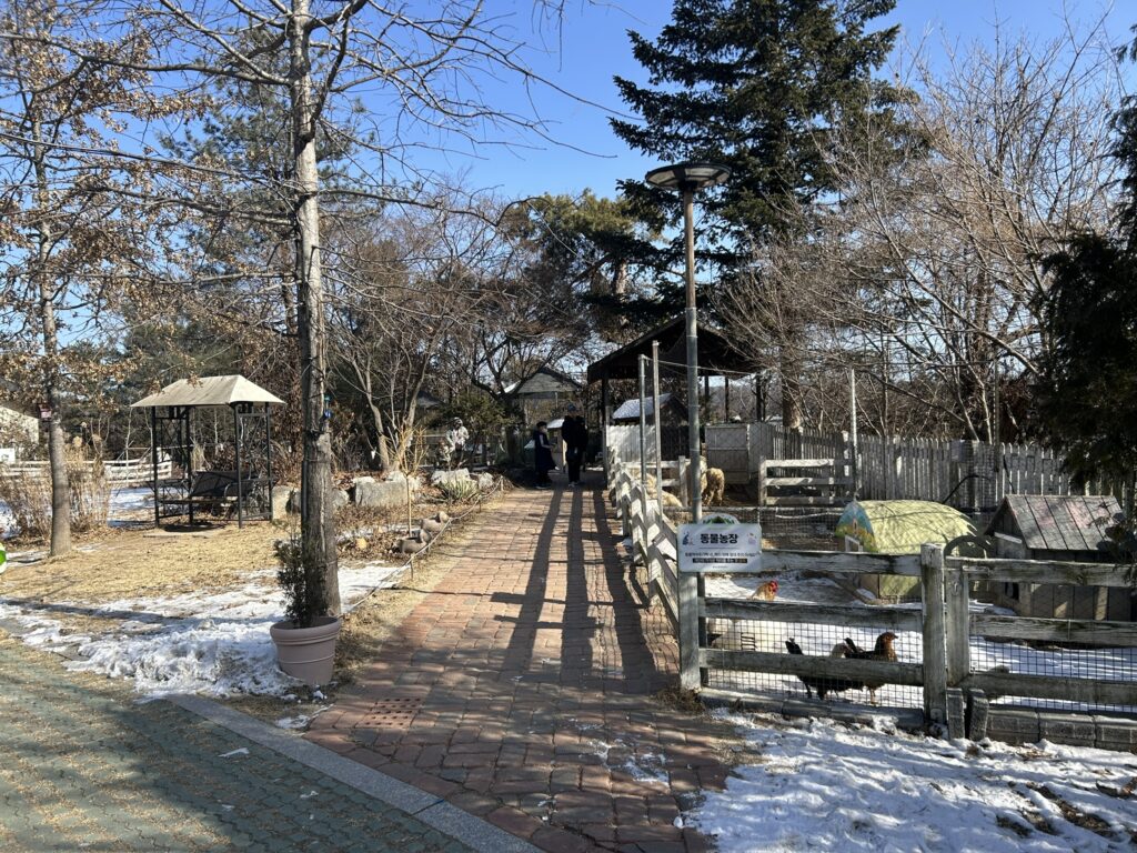 용인곤충테마파크 동물농장