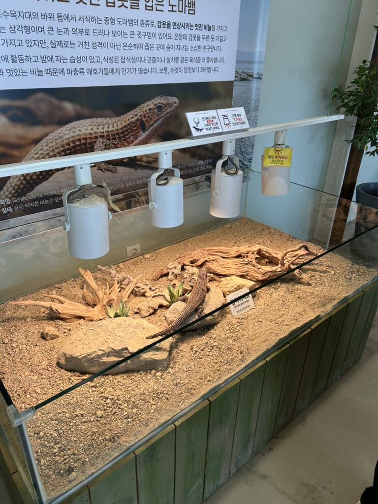 용인곤충테마파크 라운지곤