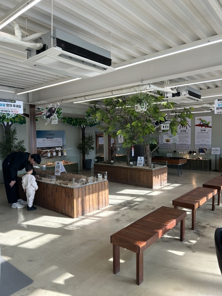 용인곤충테마파크 라운지곤 동물 체험하는곳