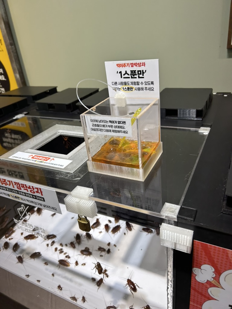 바퀴벌레 먹이주기