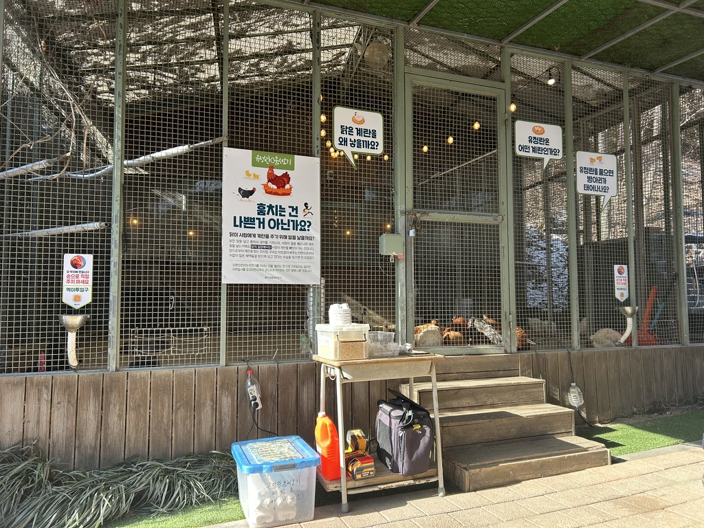 용인곤충테마파크 동물농장 꼬꼬댁 농장