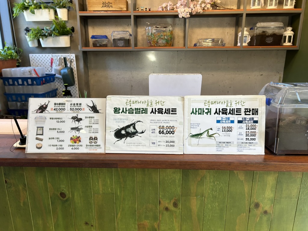 용인곤충테마파크 박물관 사육세트