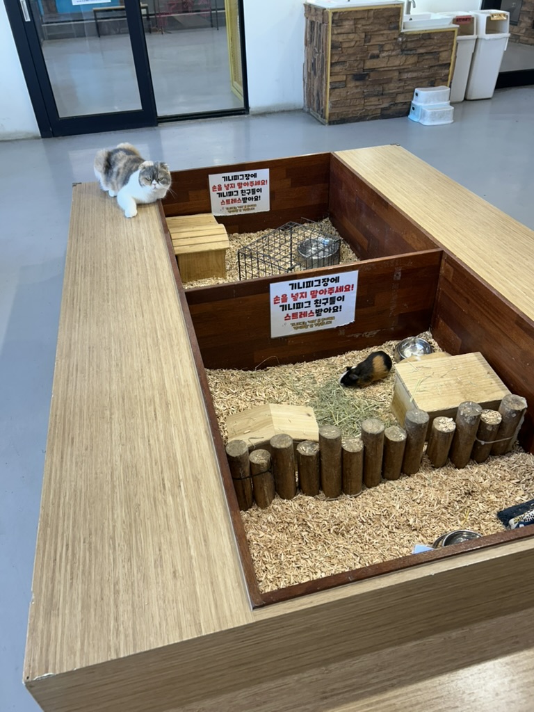 수달앤쥬 소동물