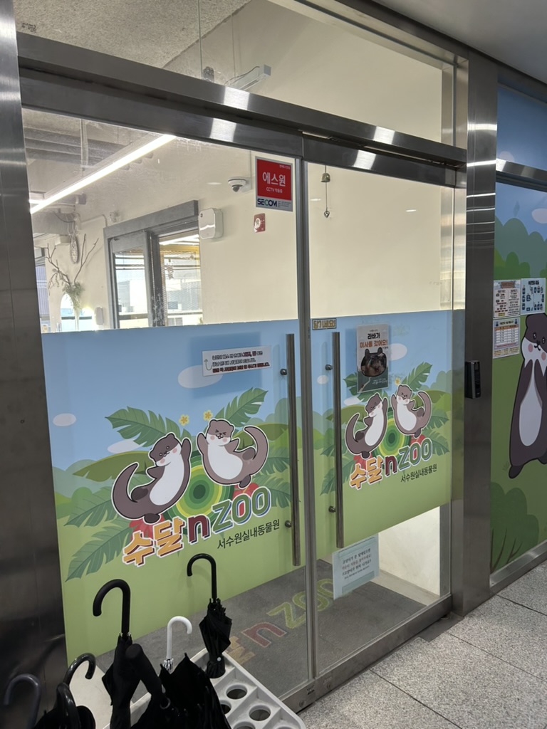 수원 아이와 가볼만한 곳 실내 – 수달앤쥬 서수원점 솔직 후기 | 34개월 아이와 겨울 실내 나들이